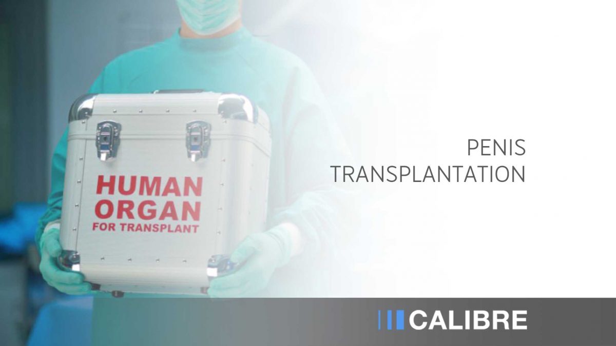 Penis Transplantation